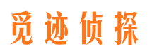 惠农市婚外情调查